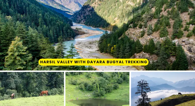 Harsil Valley Dayara Bugyal