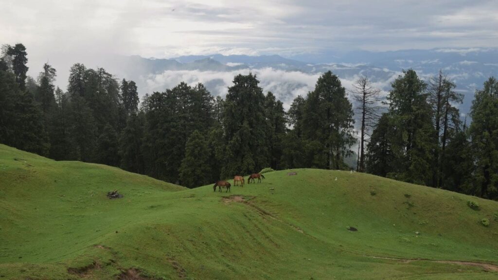 Moila-top-chakrata-Uttarakhand