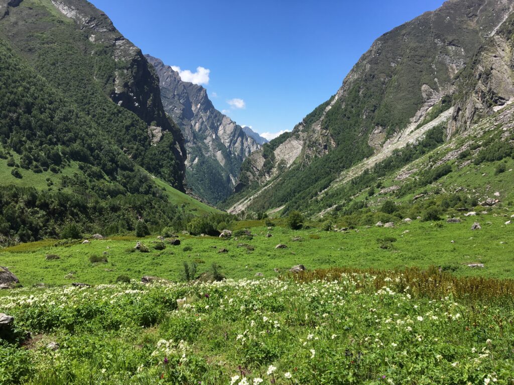chamoli