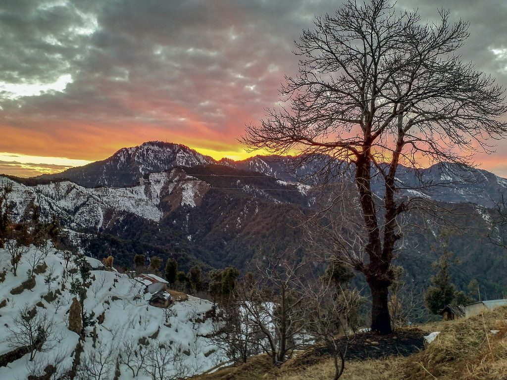 kanatal-view